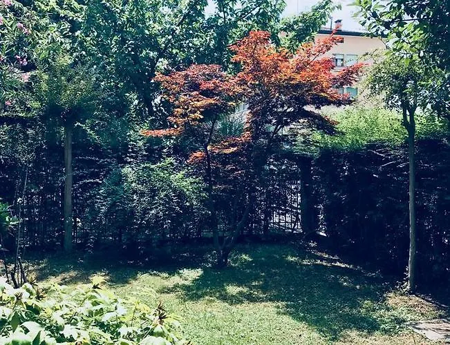 Aleardi Alojamento de Acomodação e Pequeno-almoço Mestre